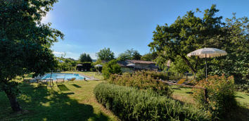 Alcune piante, e la piscina, nel parco dell’antico Monastero
									San Silvestro