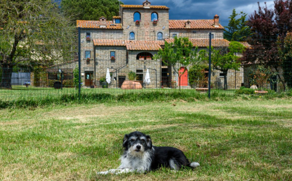 monastero_san_silvestro-7